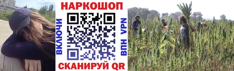 Наркота Куровское Канабис  Cocaine  ГАШИШ  A-PVP  МЕФ 