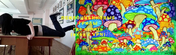мяу мяу мука Алексеевка