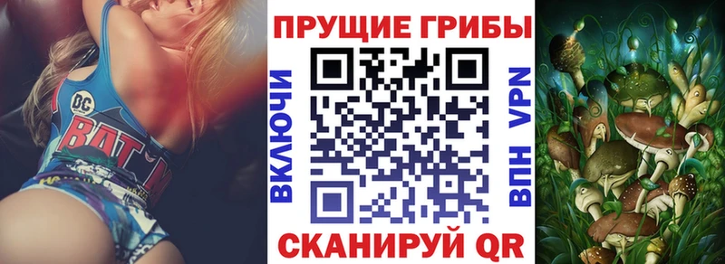 Псилоцибиновые грибы Psilocybe  хочу   Куровское 